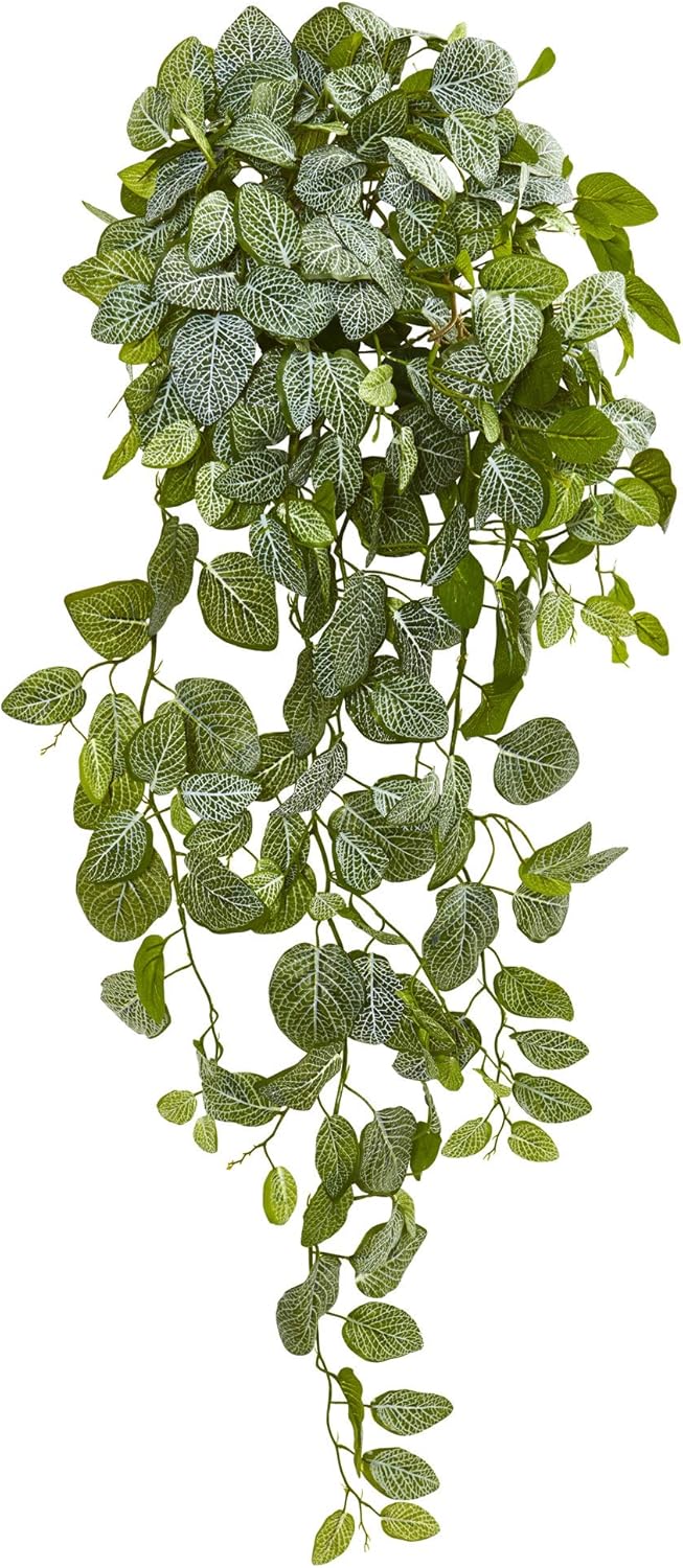 36in. Fittonia Hanging Bush Artificial Plant (Set of 2) (Real Touch)