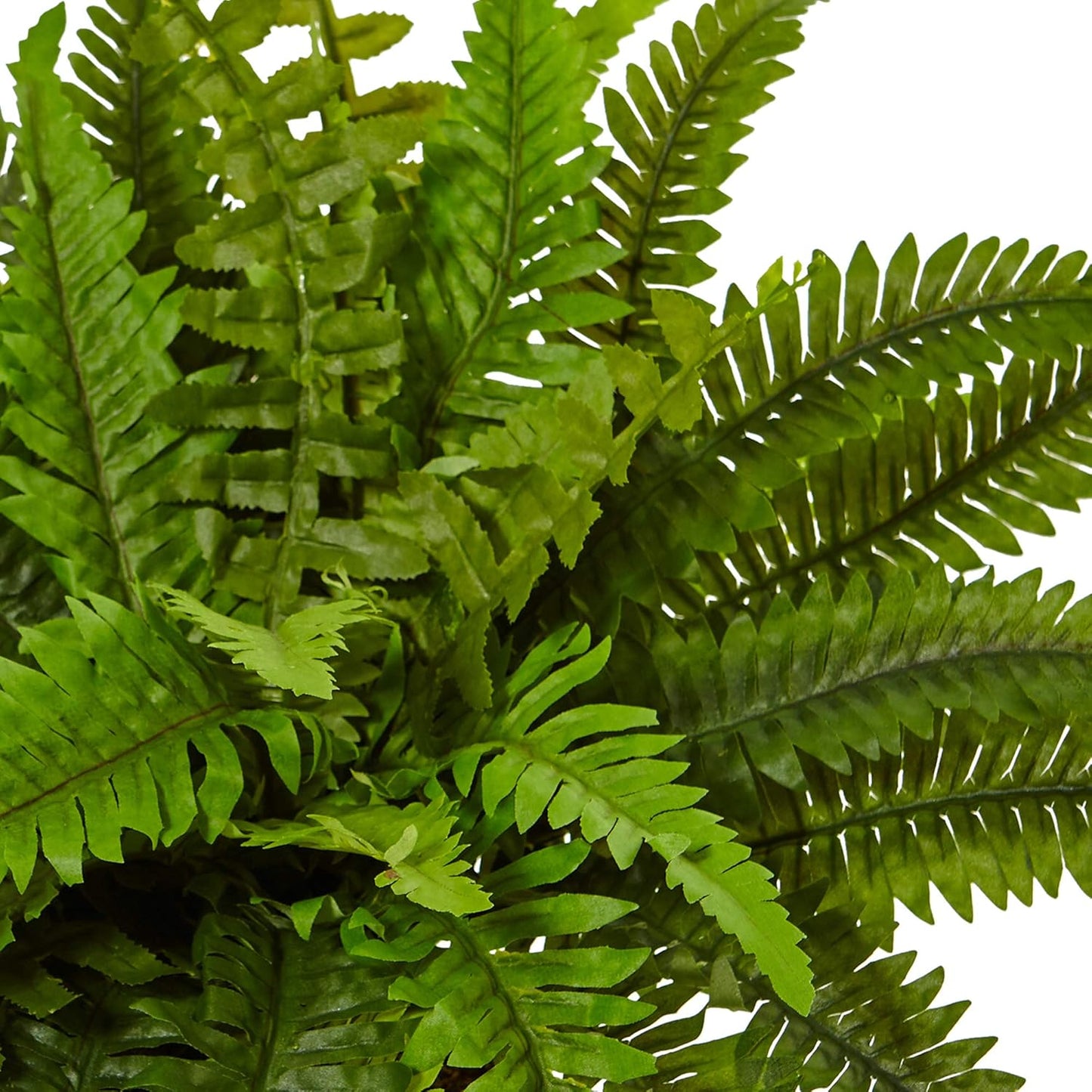6308 Boston Fern in White Planter Artificial Plant, Green