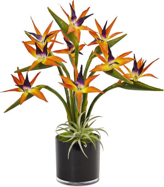 Bird of Paradise Silk Arrangement in Black Glossy Cylinder