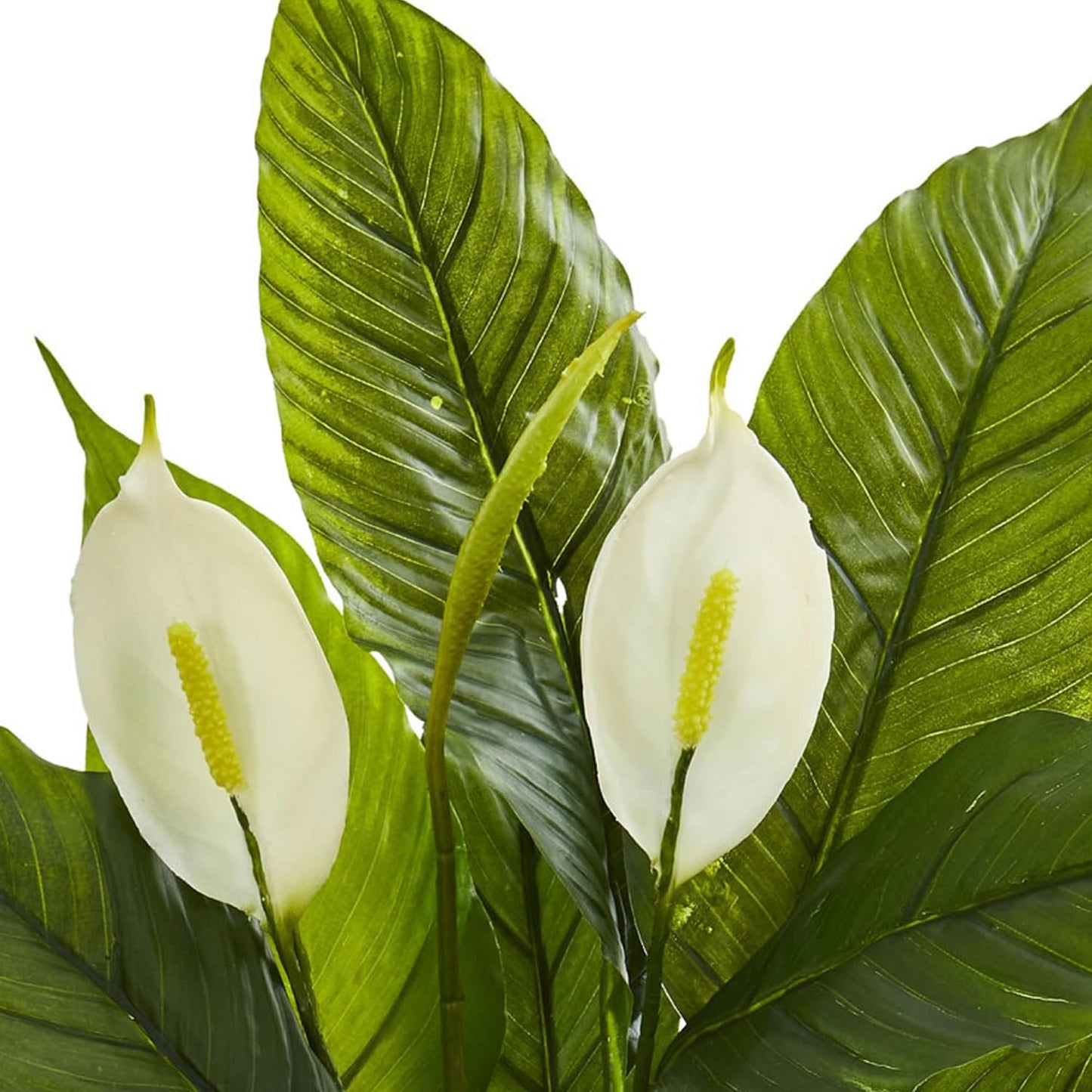 26” Spathiphyllum Artificial (Real Touch) Silk Plants Green