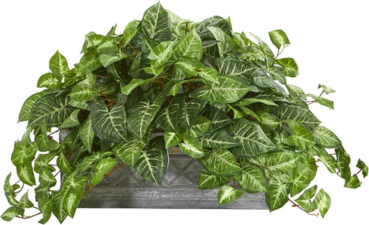 8059 Nepthytis Artificial Plant in Stone Planter, Green