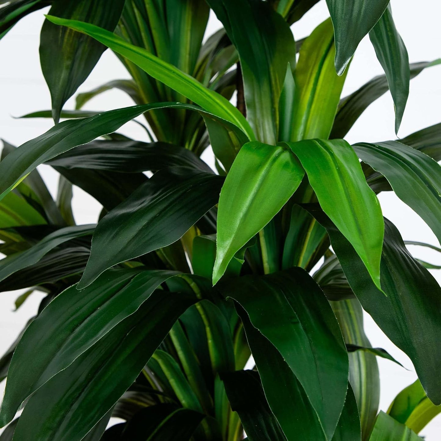 9ft. Artificial Dracaena Tree with Real Touch Leaves No50