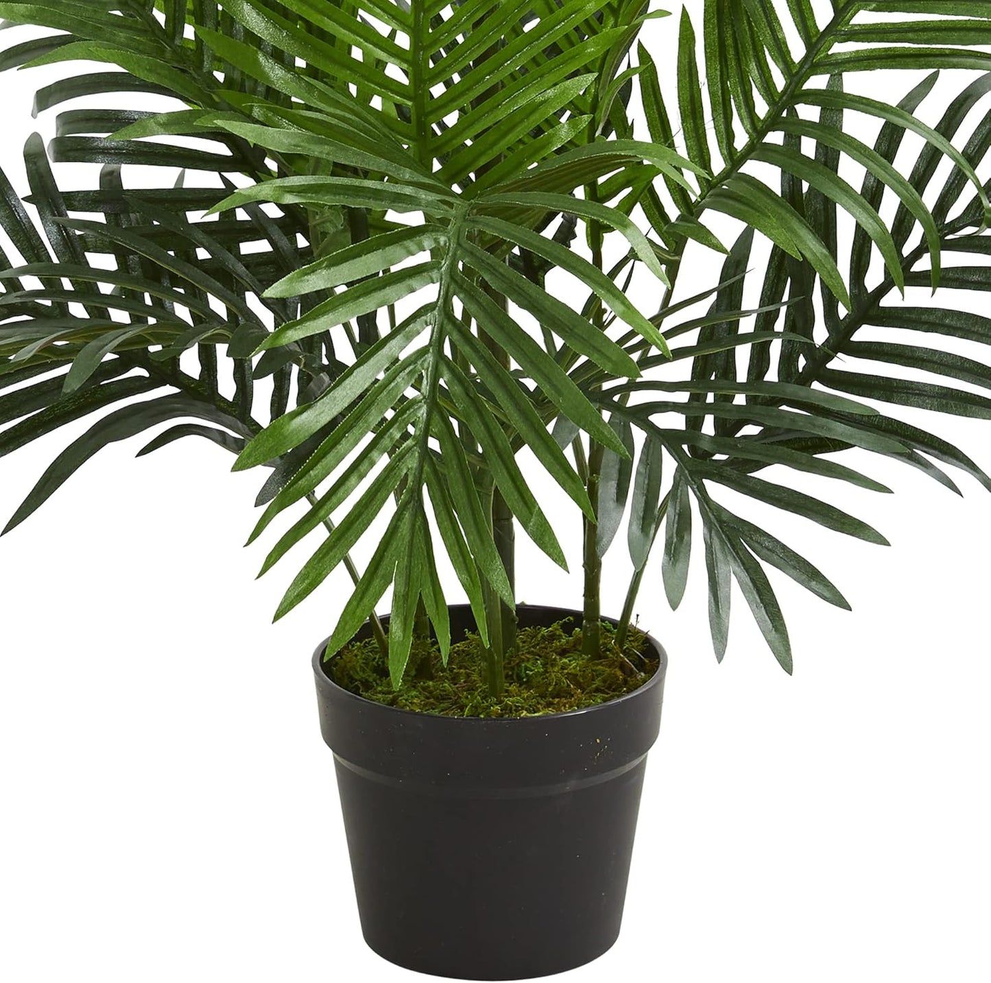 3' Paradise Palm Tree Artificial Plant, Green