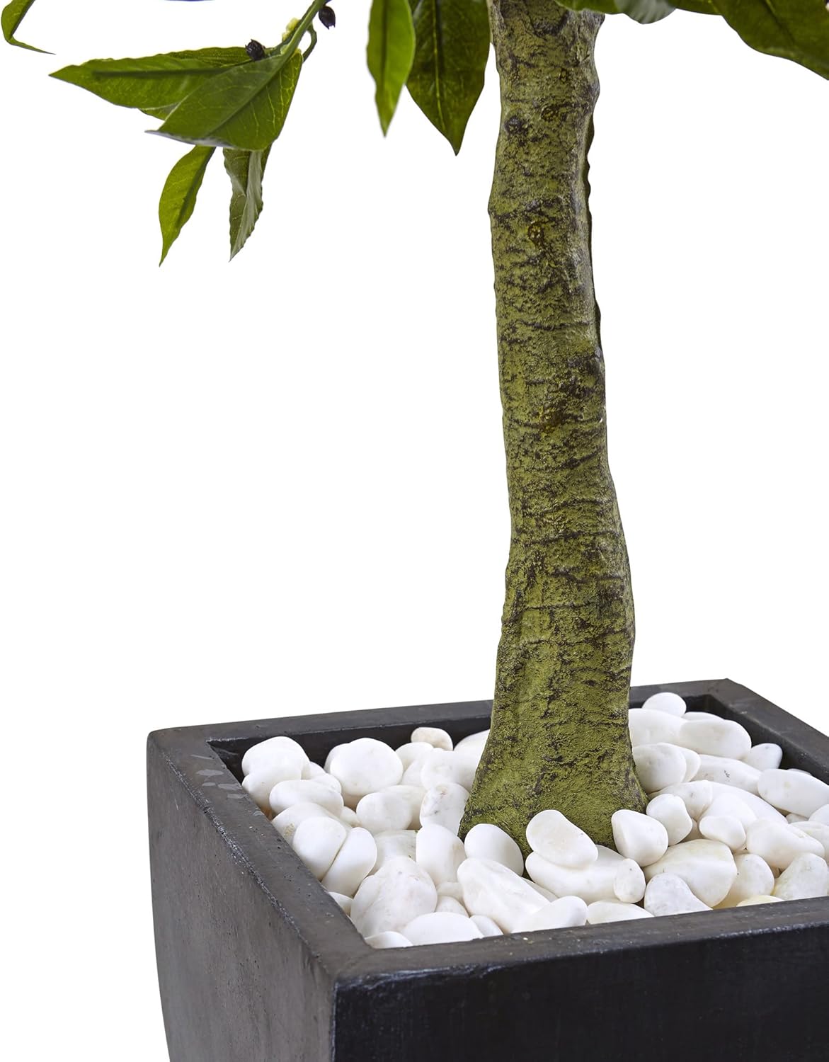 42in. Bay Leaf Topiary with Black Wash Planter UV Resistant (Indoor/Outdoor)