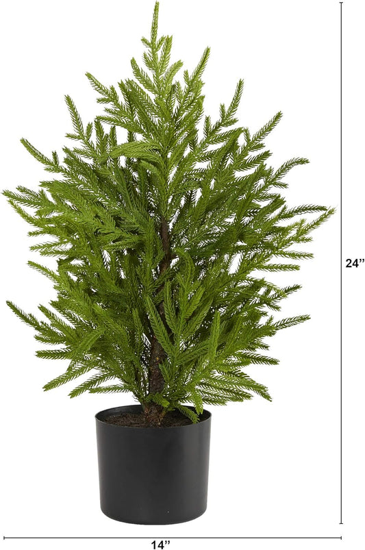 2ft. Norfolk Island Pine Natural Look Artificial Tree in Decorative Planter