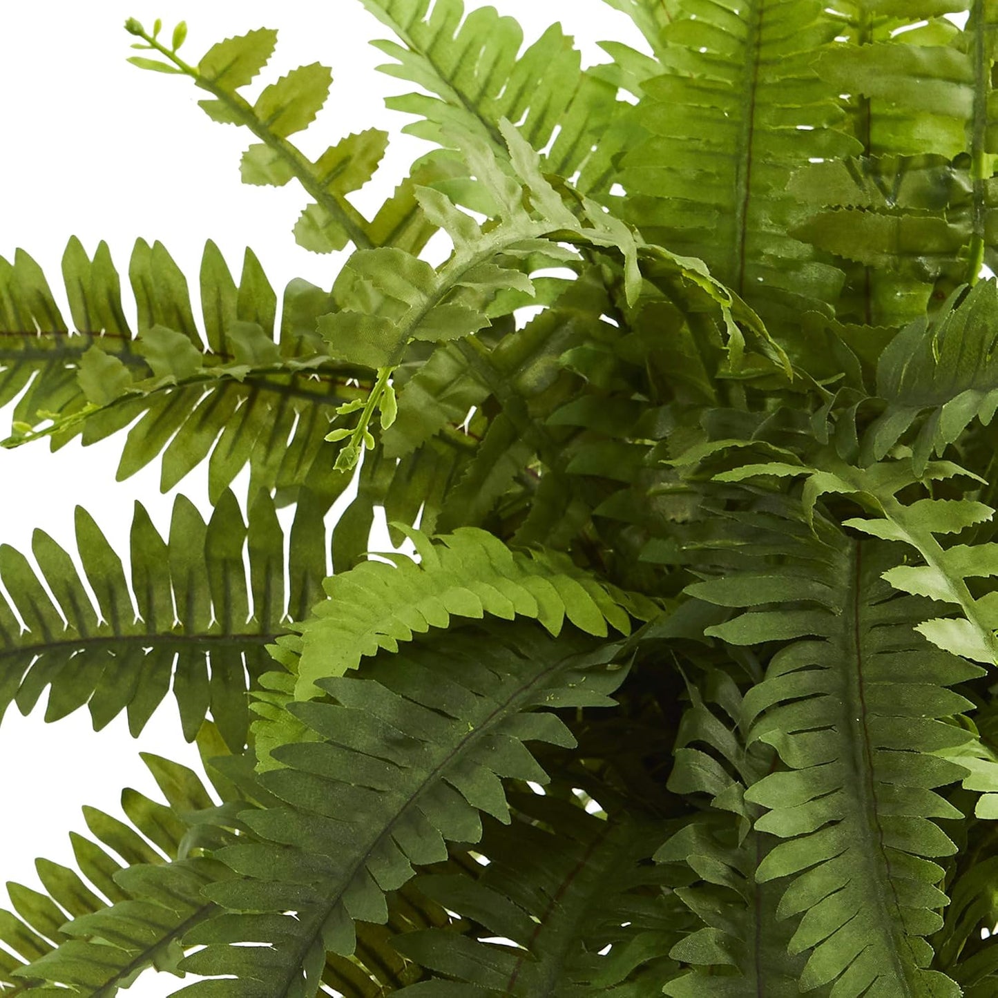 Boston Fern Artificial Decorative Planter Silk Plants, 14 In. W x 14 In. D x 20 In. H, Green