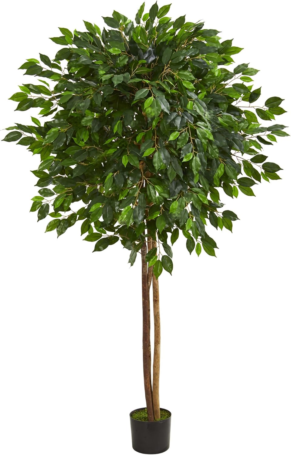 5571 6.5' Ficus Artificial Tree, Green