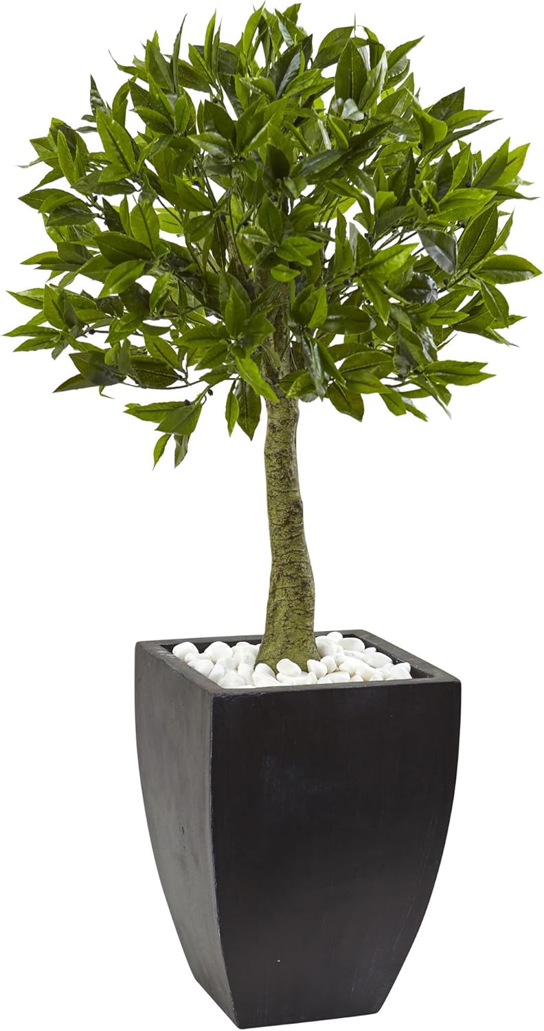 42in. Bay Leaf Topiary with Black Wash Planter UV Resistant (Indoor/Outdoor)
