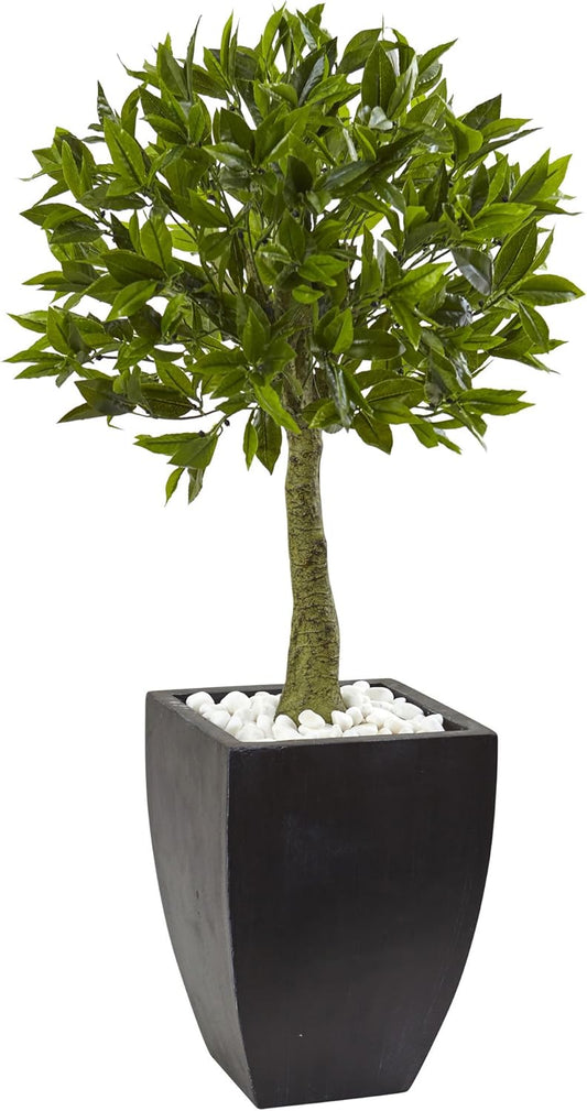 42in. Bay Leaf Topiary with Black Wash Planter UV Resistant (Indoor/Outdoor)
