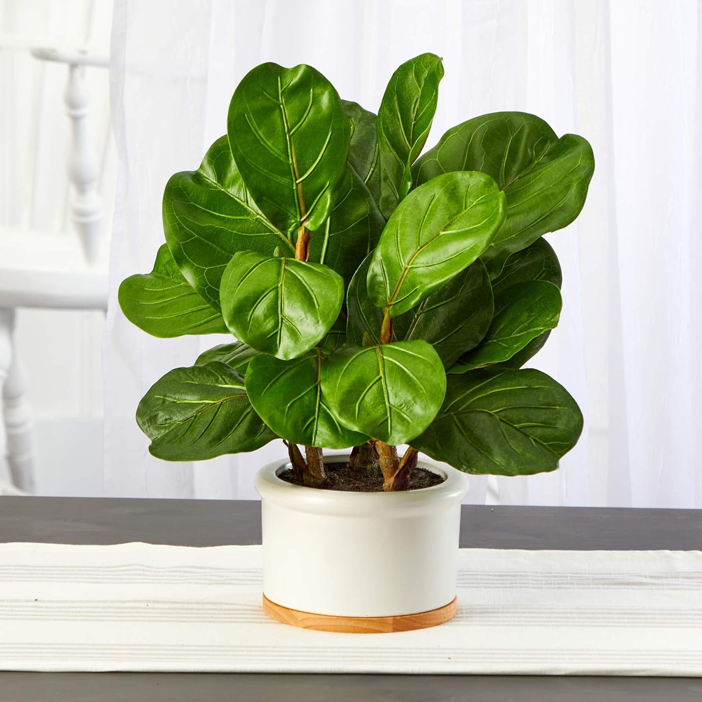 15in. Fiddle Leaf Artificial Tree in White Planter