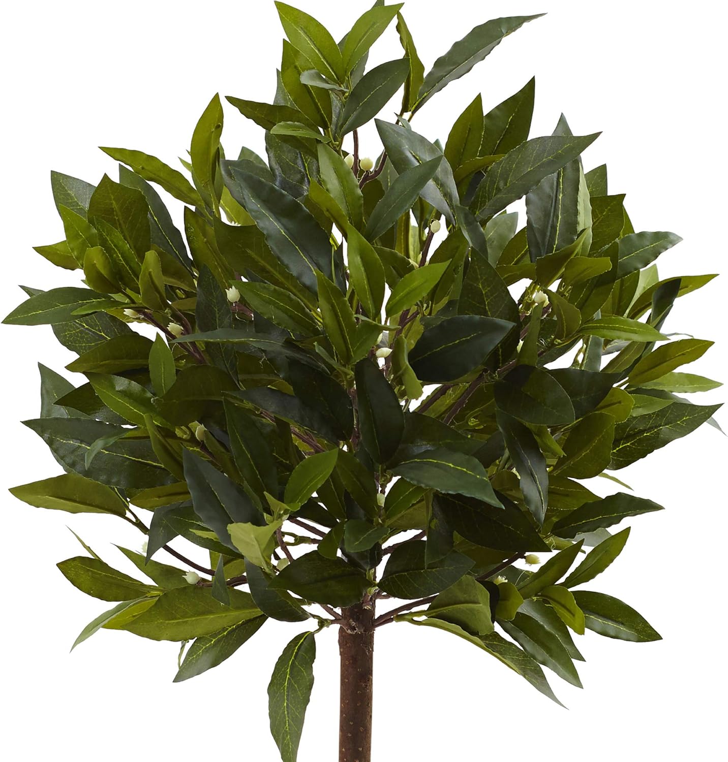 2ft. Sweet Bay Mini Ball Topiary