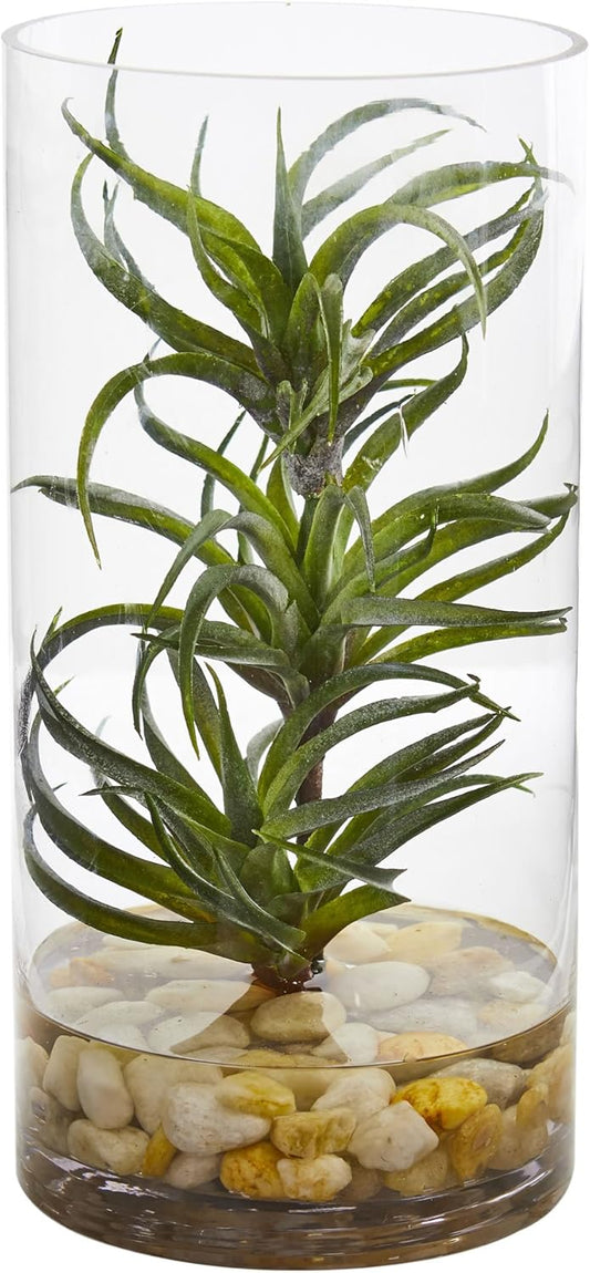 Air Plant Artificial Succulent in Glass Vase