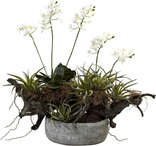 Orchid & Succulent Garden with Driftwood & Decorative Vase