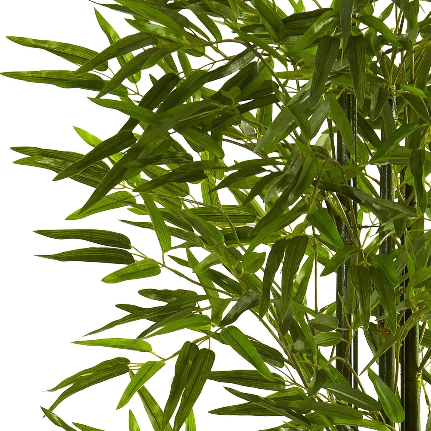 5ft. Bamboo Tree UV Resistant (Indoor/Outdoor)