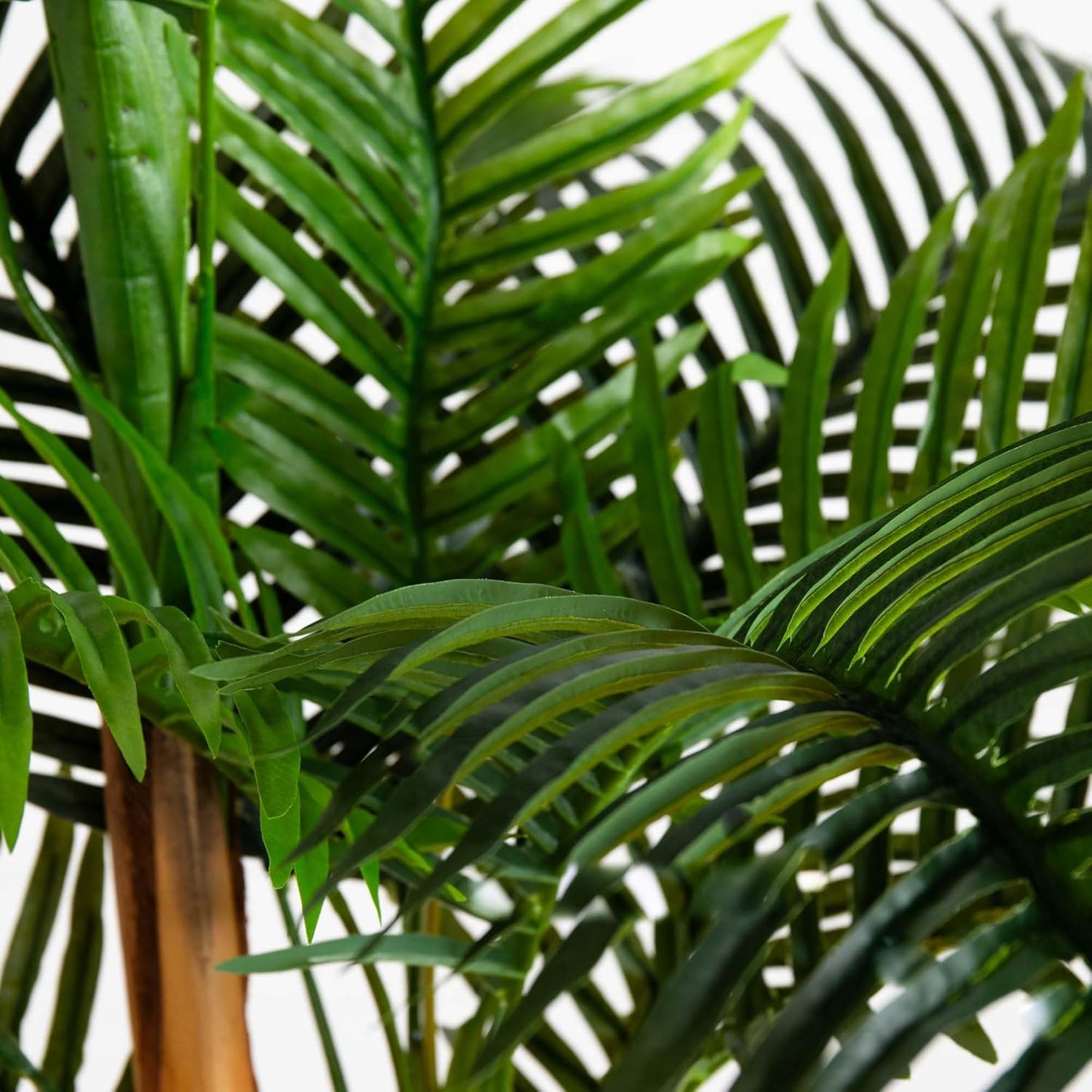 8ft. UV Resistant Artificial Double Robellini Palm Tree (Indoor/Outdoor) No50