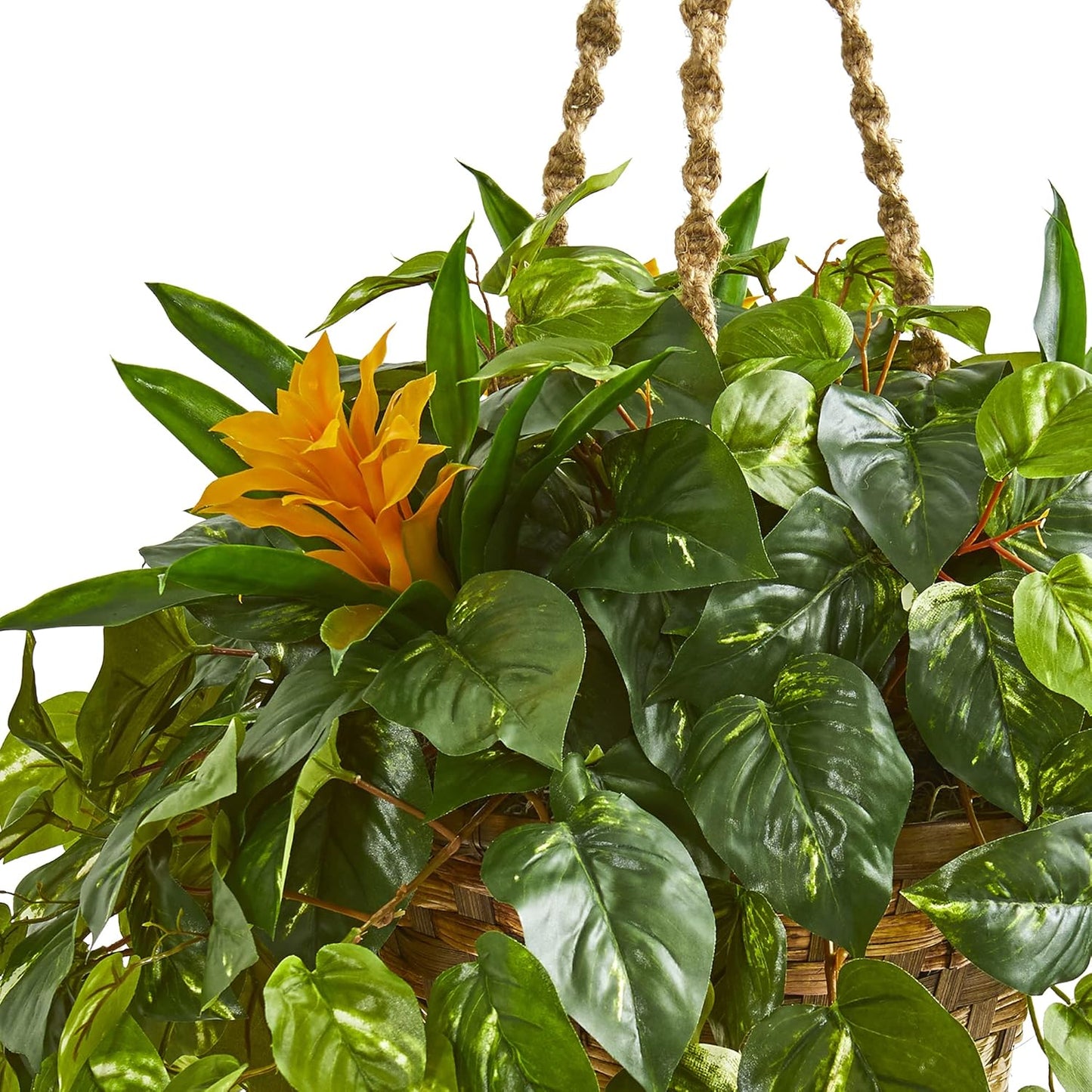 31in. Bromeliad & Pothos Artificial Plant in Hanging Basket