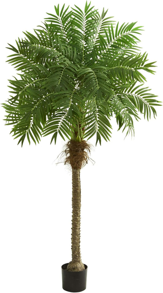 80in. Robellini Palm Artificial Tree