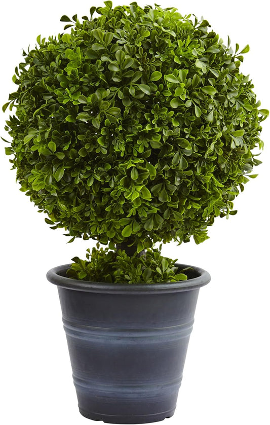 23in. Boxwood Ball Topiary