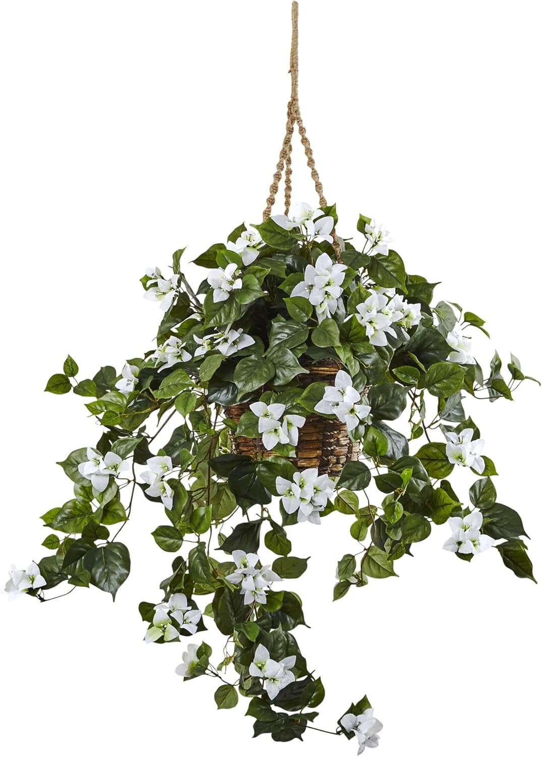 Bougainvillea Hanging Basket
