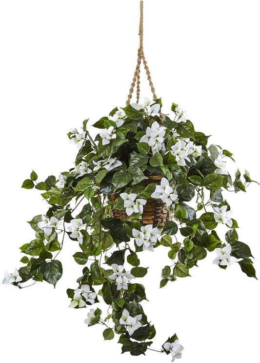 Bougainvillea Hanging Basket
