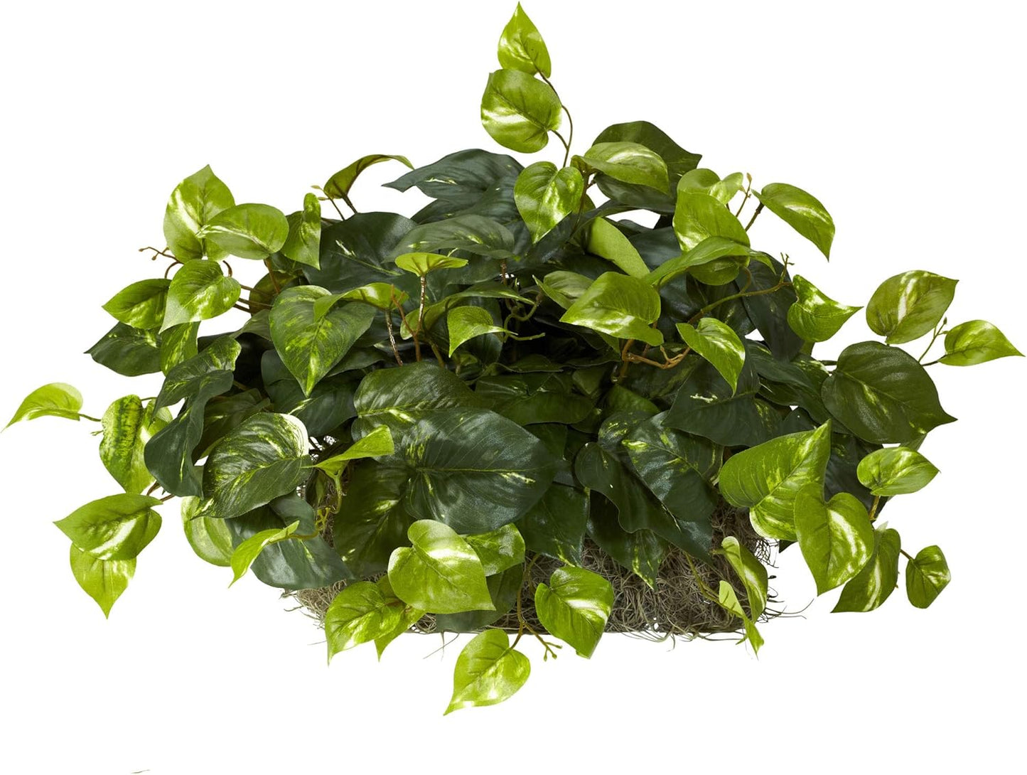15in. Pothos Ledge Plant (Set on Foam) Silk Plant,Green Pothos with Ledge Basket, Green,34x18x15