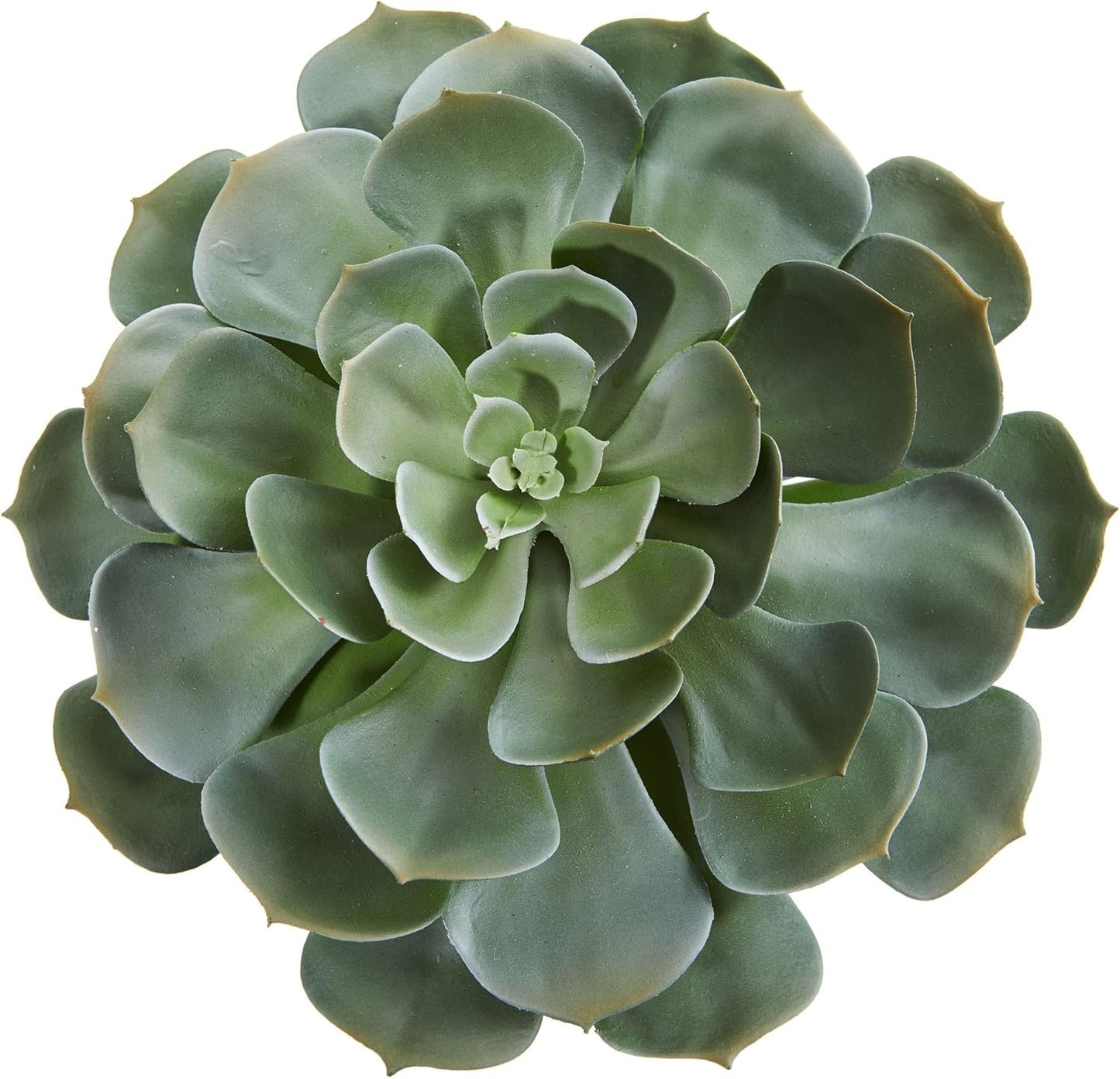 13in. Giant Echeveria Succulent Pick Artificial Plant (Set of 2)