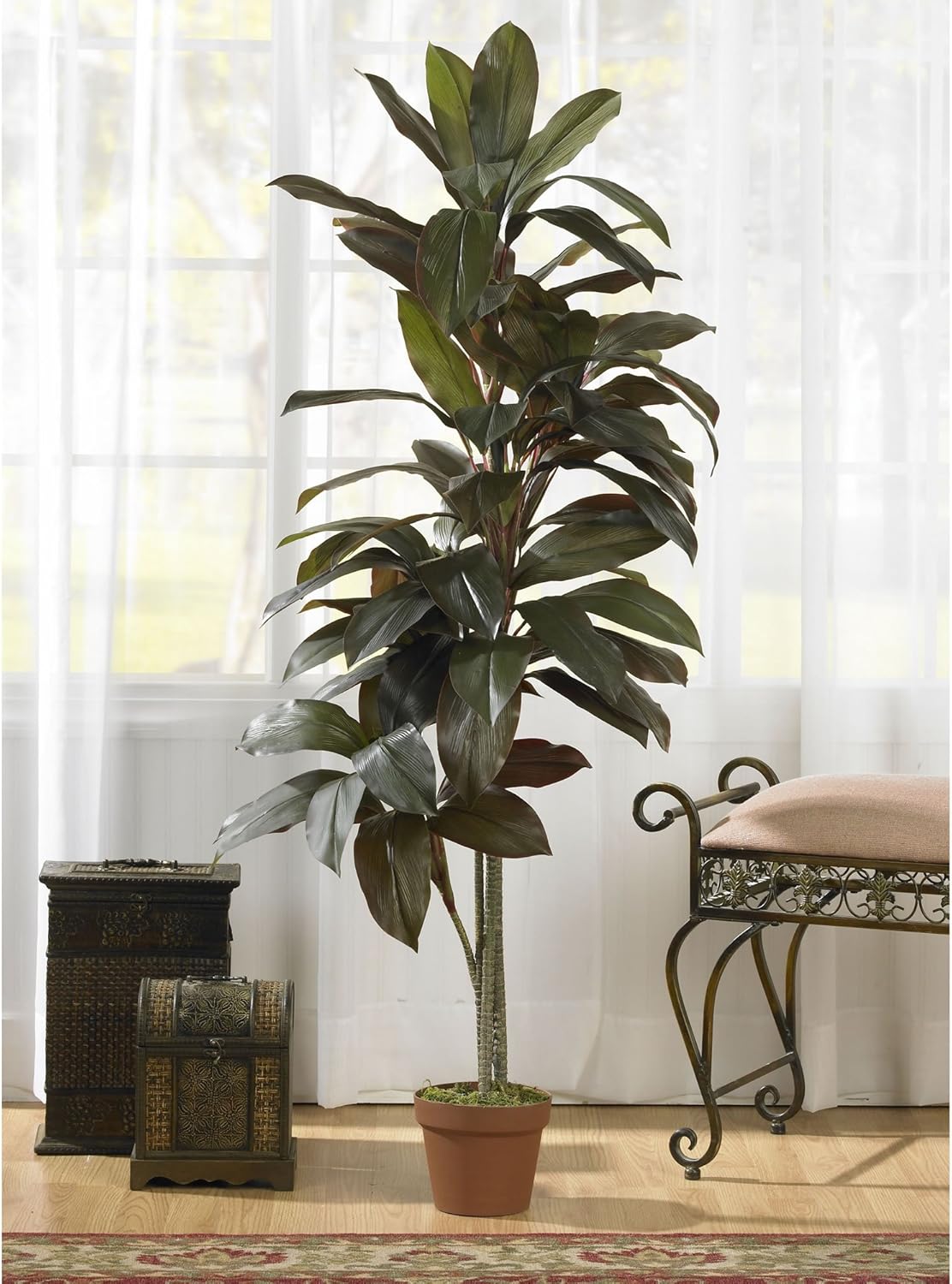 5ft. Cordyline Silk Plant (Real Touch) No50