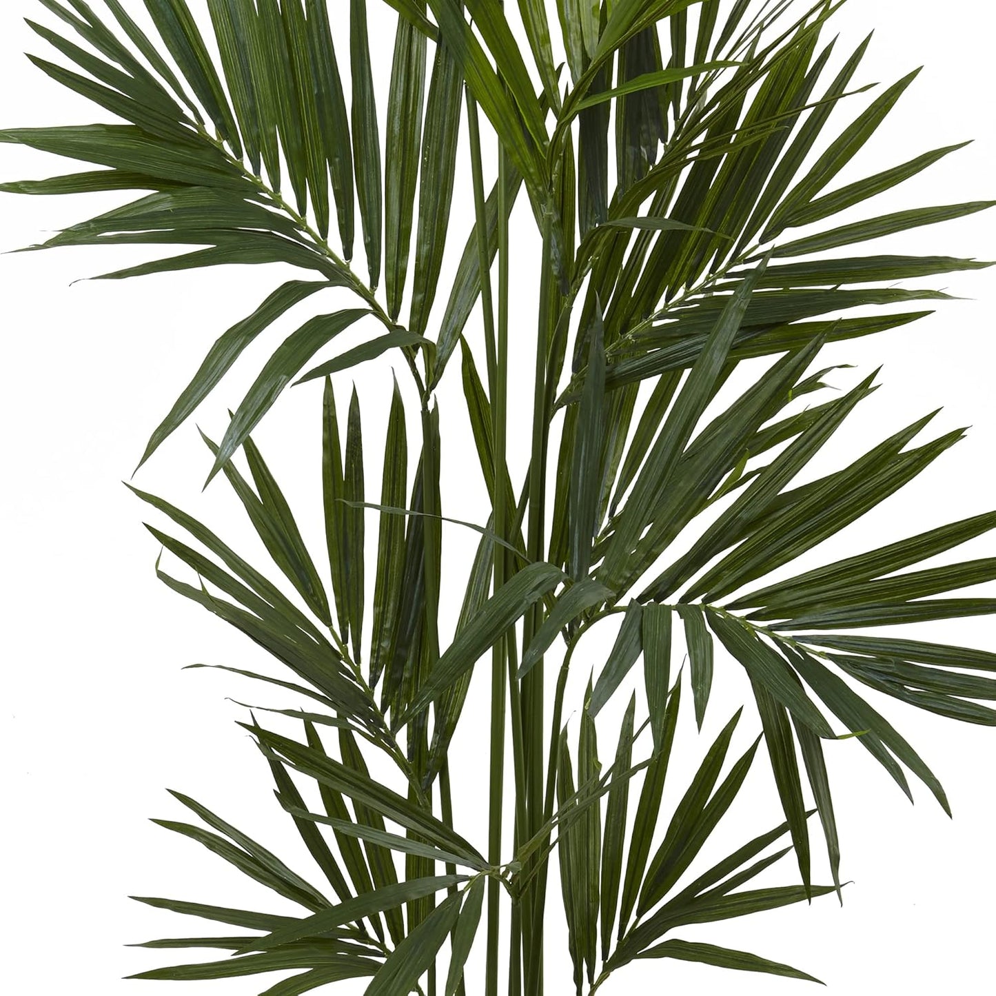 7ft. Kentia Palm Silk Tree