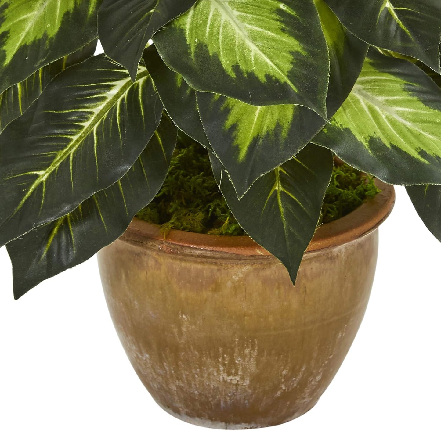 Dieffenbachia Artificial Plant in Ceramic Planter