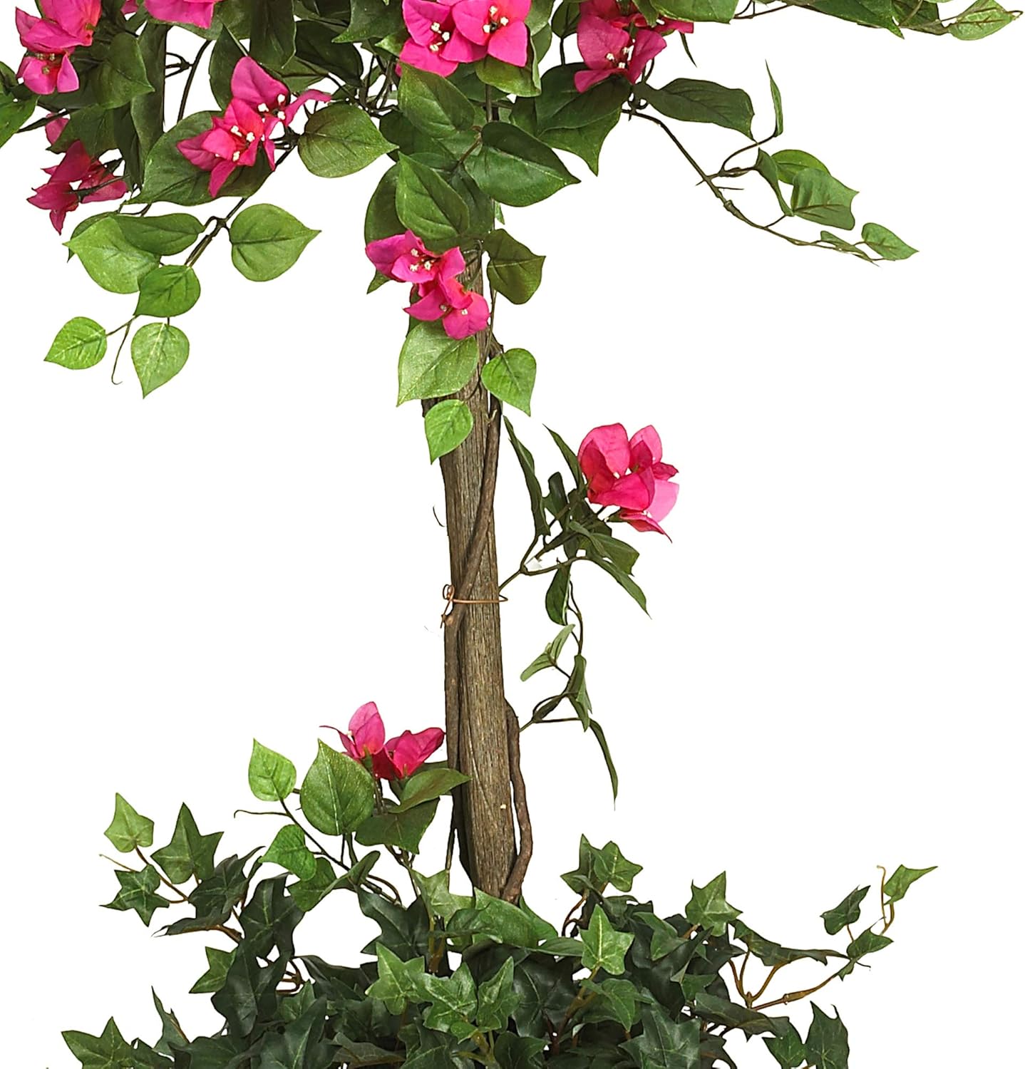 5228 Mini Bougainvillea Topiary Beauty, 5-Feet,9" x 9" x 62.5" , Green