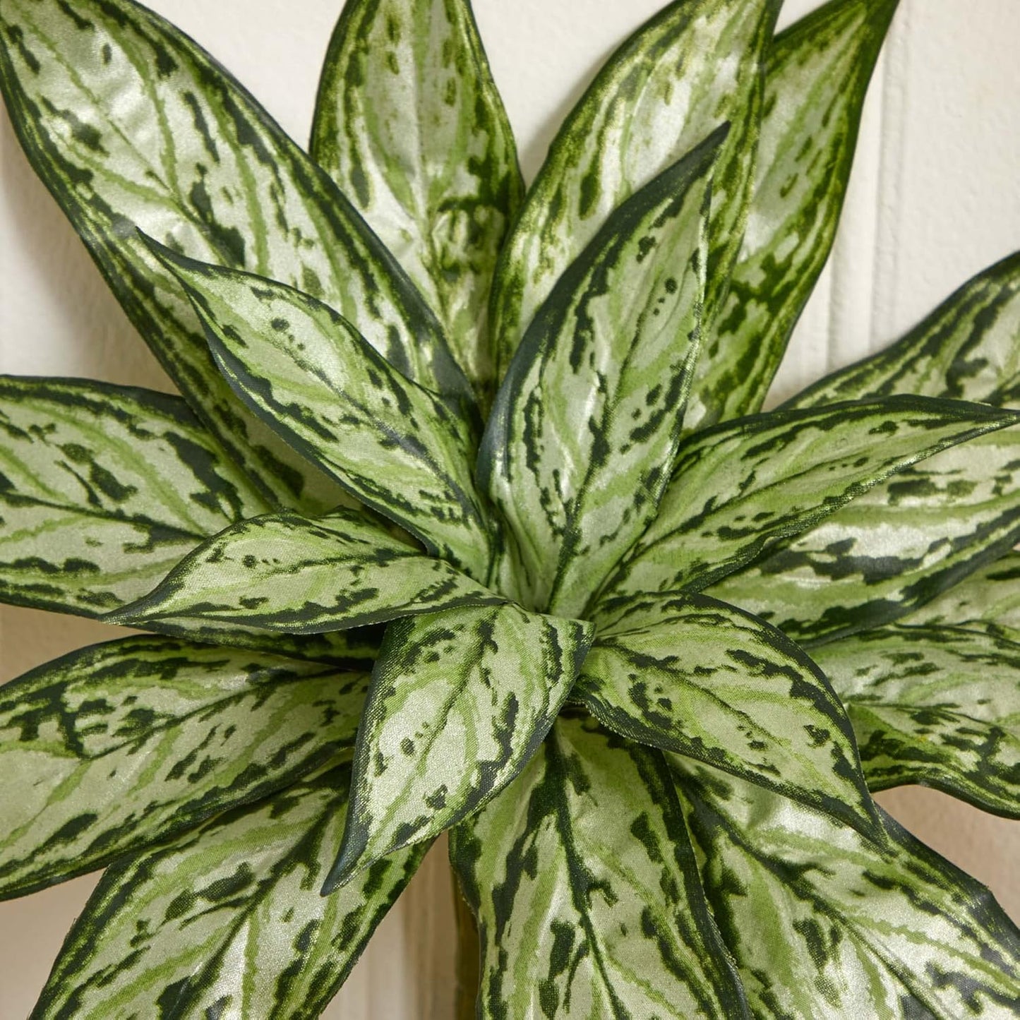 10in. Variegated Silver Queen Artificial Plant (Set of 6)