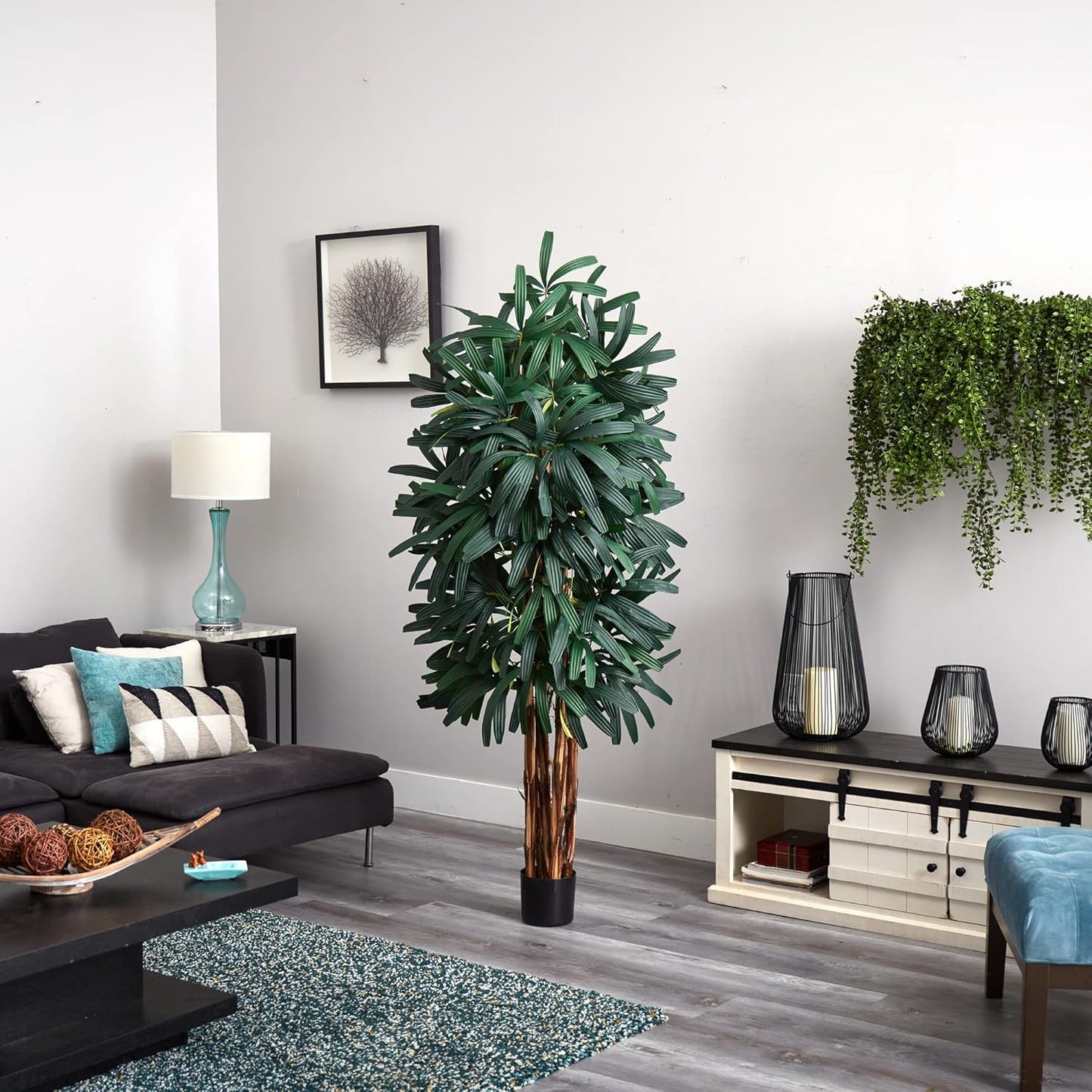 6ft. Raphis Palm Tree