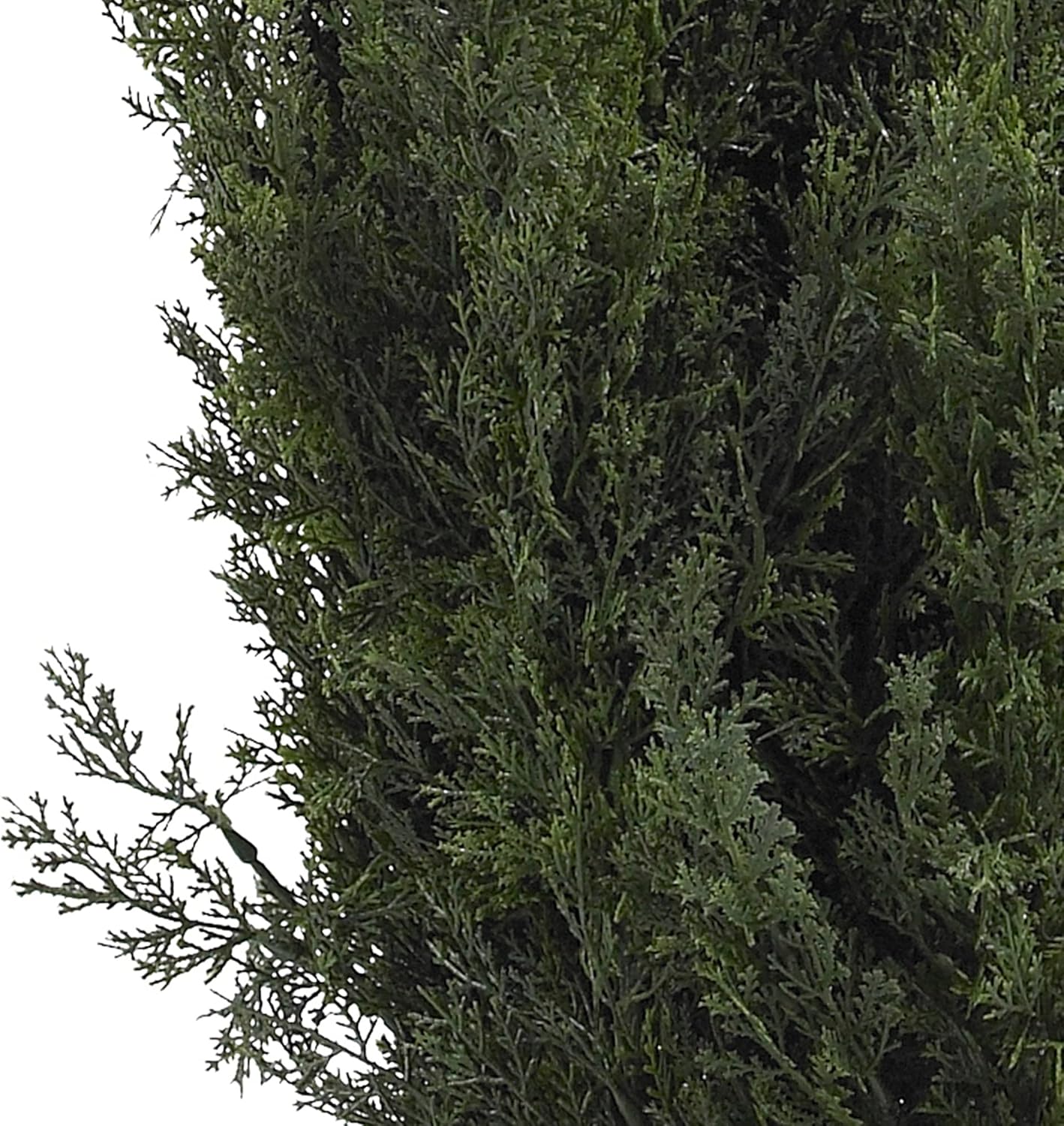 6ft. Mini Cedar Pine Tree (Indoor/Outdoor)