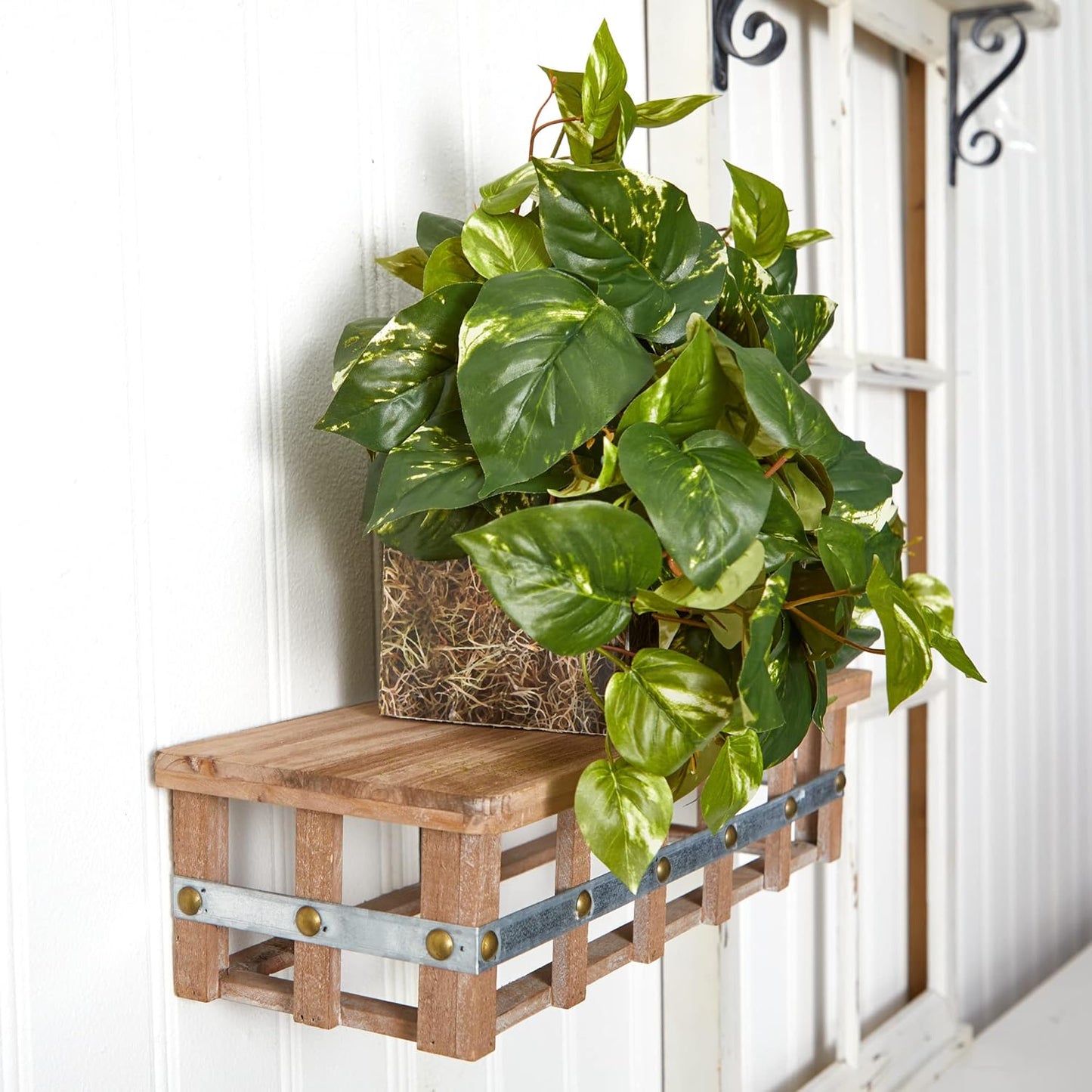 15in. Pothos Ledge Plant (Set on Foam) Silk Plant,Green Pothos with Ledge Basket, Green,34x18x15