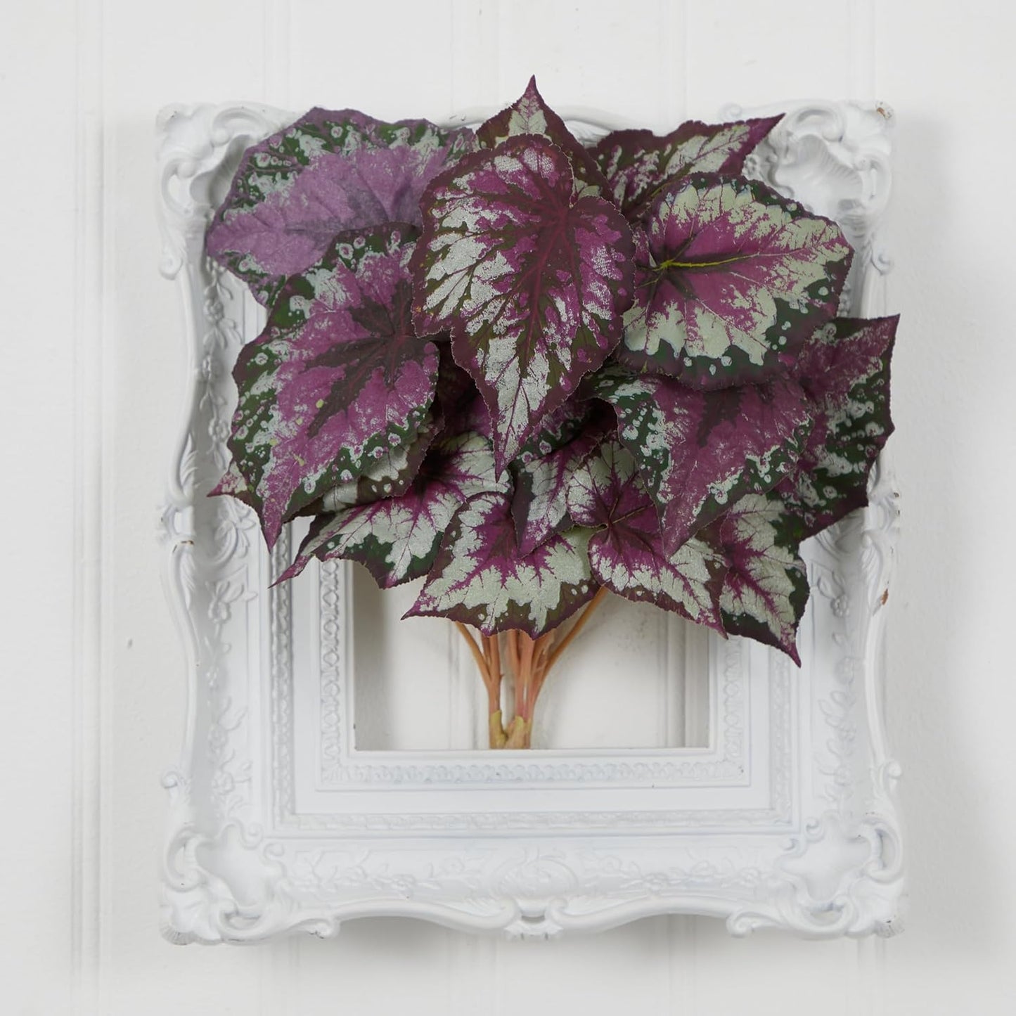 Wax Begonia Bush (Set of 6)