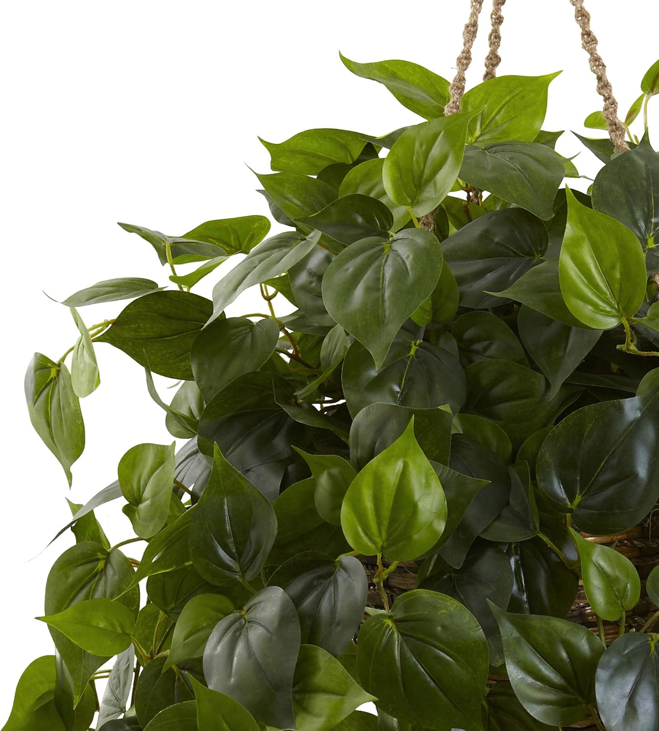 Philodendron Hanging Basket UV Resistant (Indoor/Outdoor)