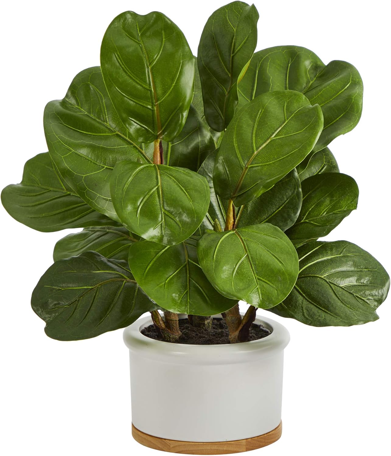 15in. Fiddle Leaf Artificial Tree in White Planter