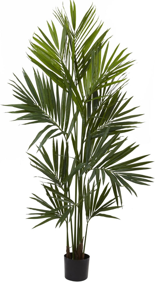 7ft. Kentia Palm Silk Tree