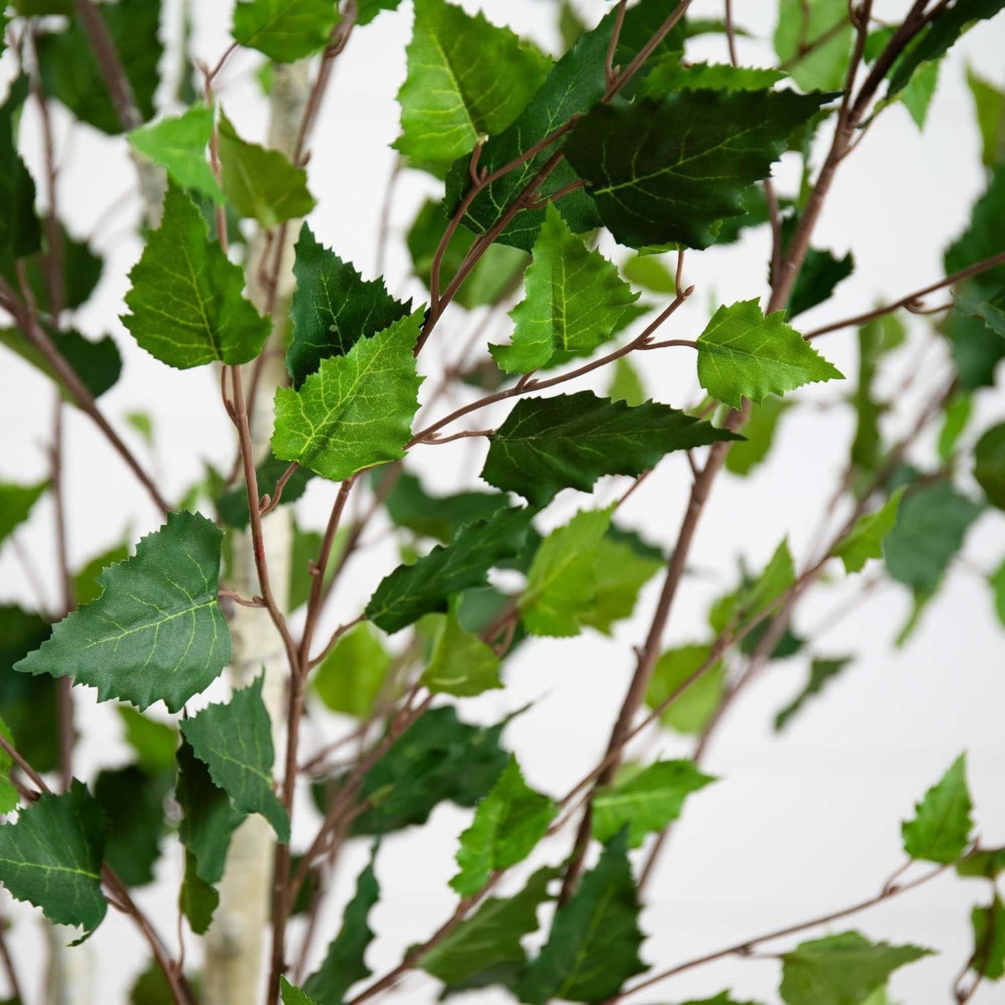 7ft. Artificial Birch Tree with Real Touch Leaves No50