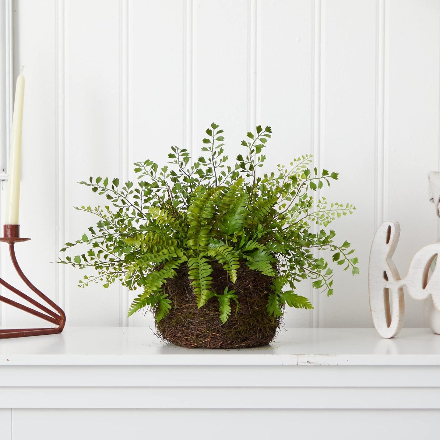 Mixed Fern with Twig and Moss Basket