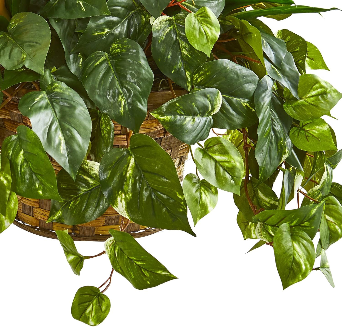 31in. Bromeliad & Pothos Artificial Plant in Hanging Basket