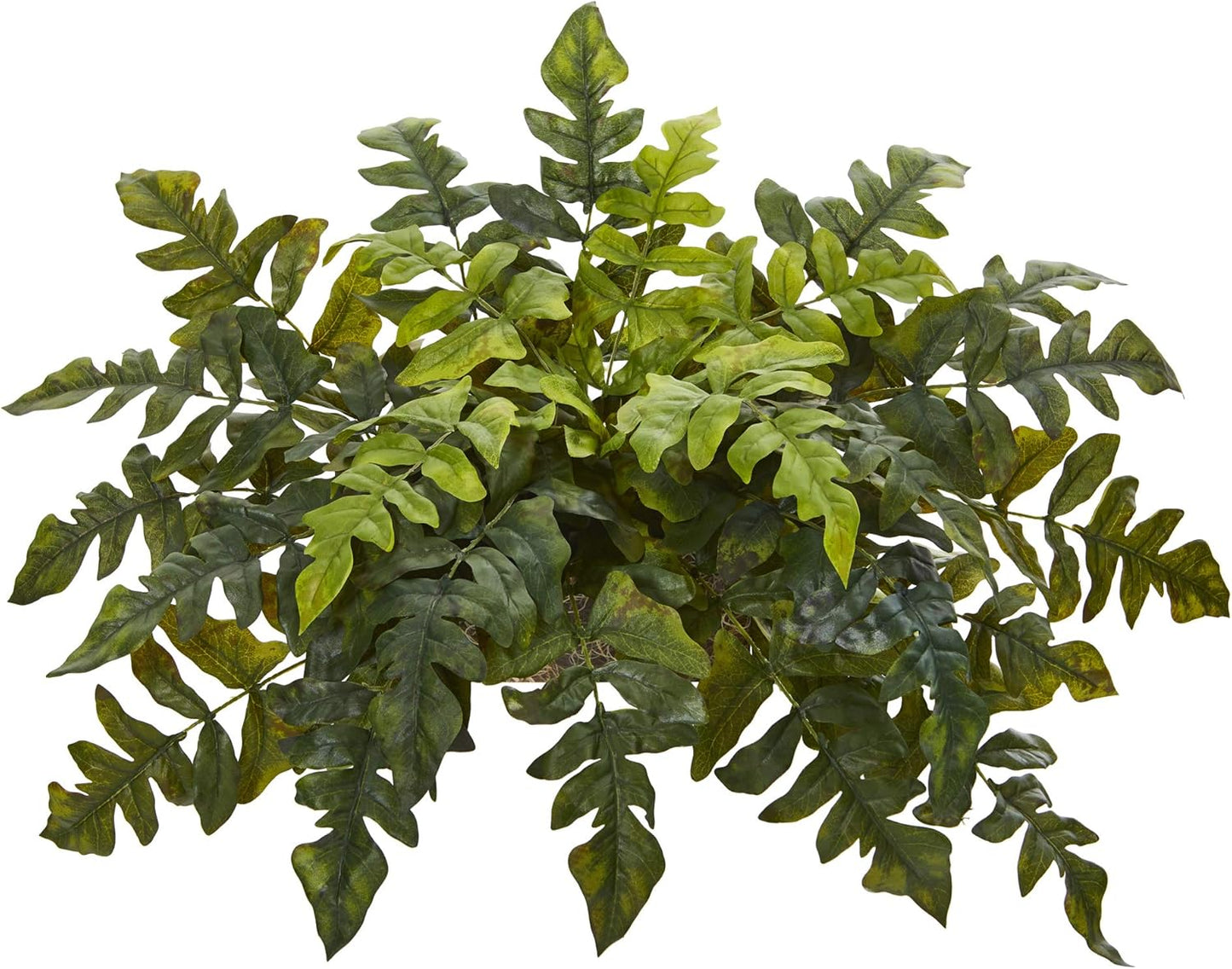 32in. Holly Fern Artificial Ledge Plant