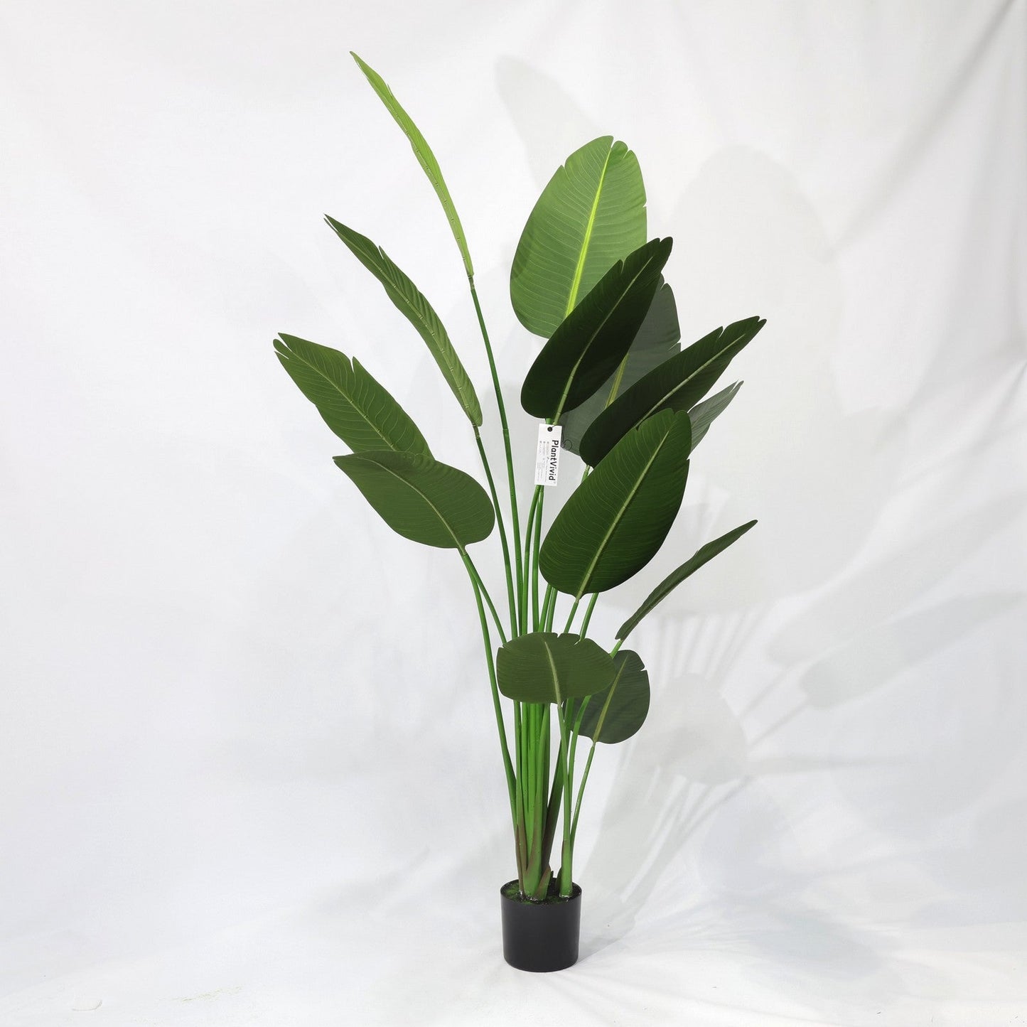 Τεχνητή Strelitzia Reginae 180cm με μεγάλα σκούρα πράσινα φύλλα, αφαιρούμενο τροπικό ψεύτικο δέντρο χριστουγεννιάτικες διακοσμήσεις καταστημάτων