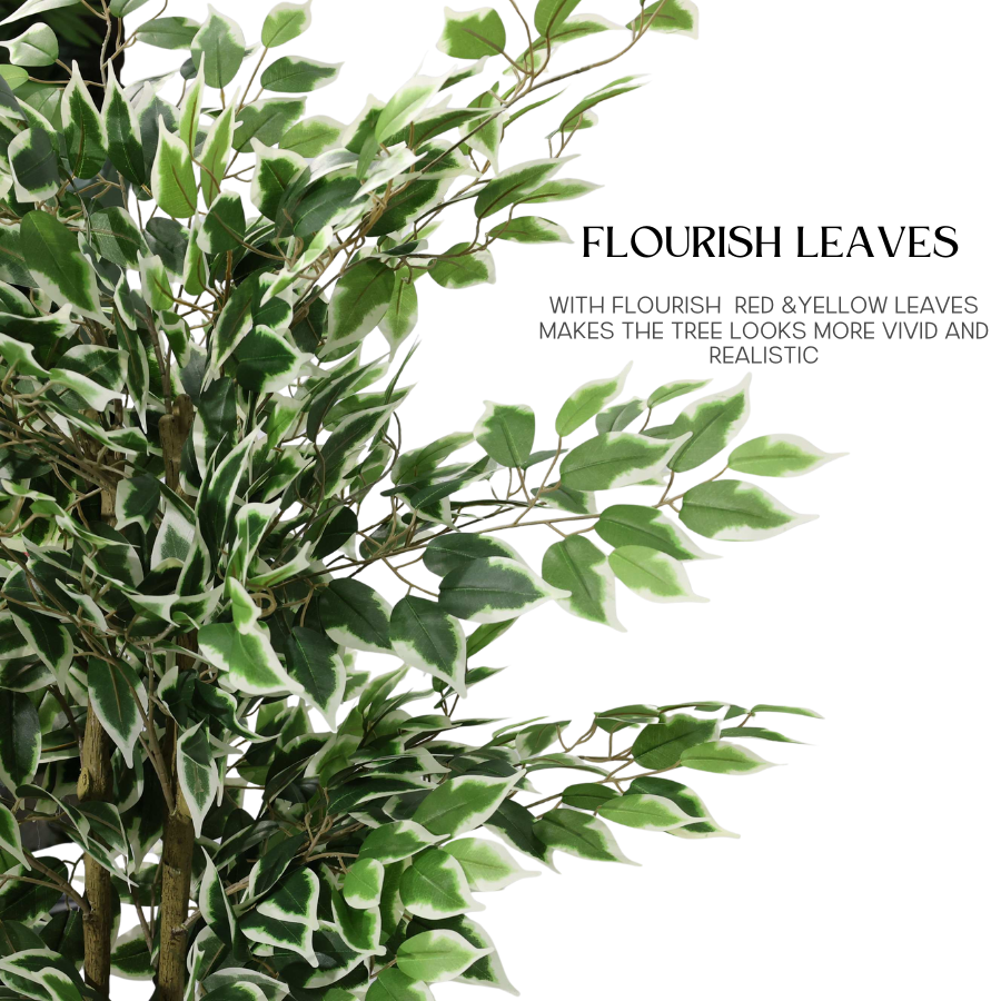 Ficus Banyan Artificiale Smontabile 170cm, Pianta Finta Moderna con Foglie Borde Bianco-Verde per Decorazione Casa Ufficio Natale