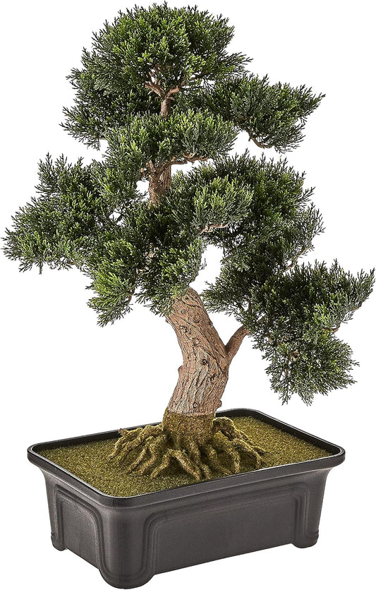 4103 24in. Cedar Bonsai Silk Plant,Green