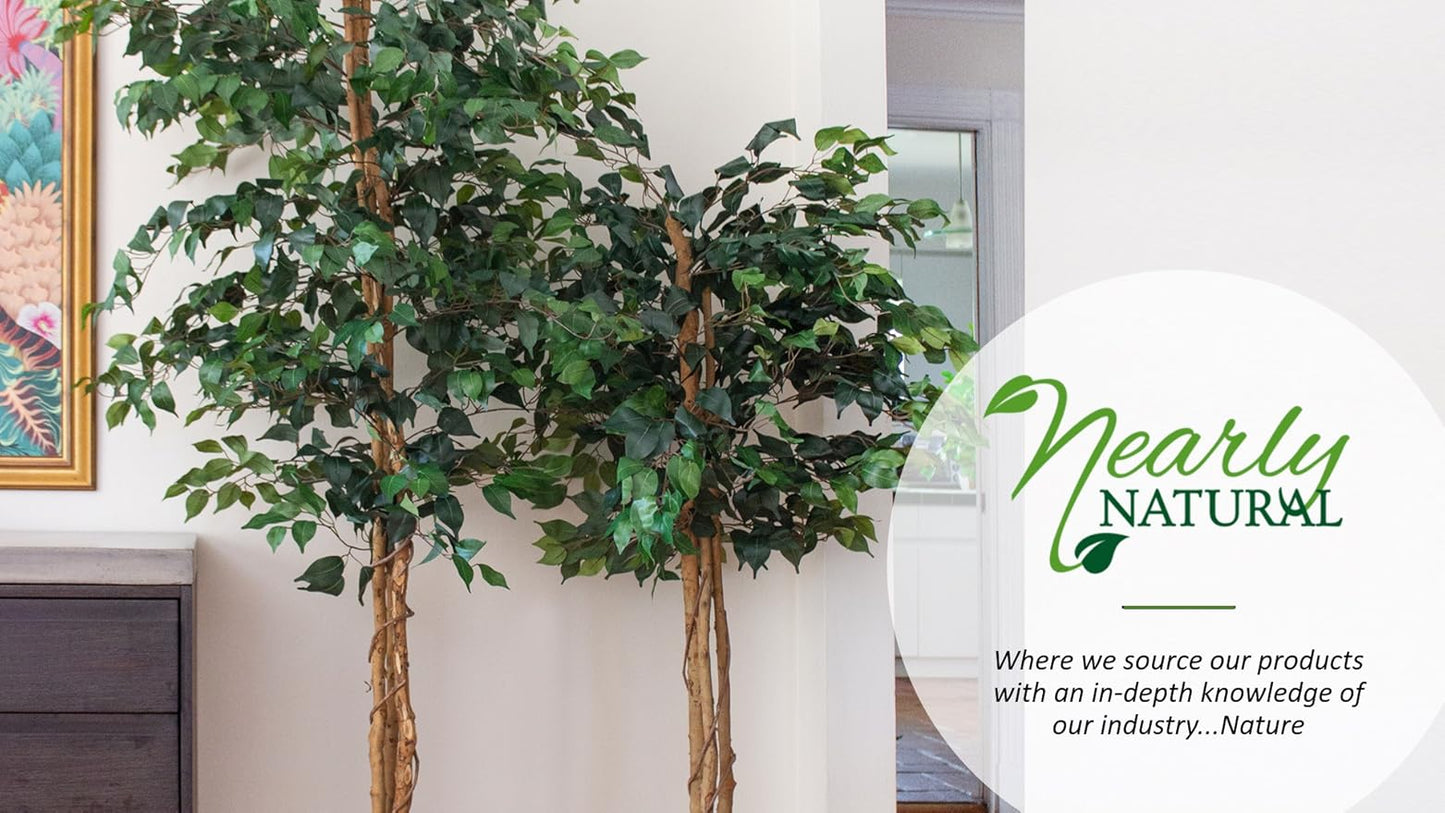 5.5ft. Croton Artificial Plant in Orange Planter (Real Touch)