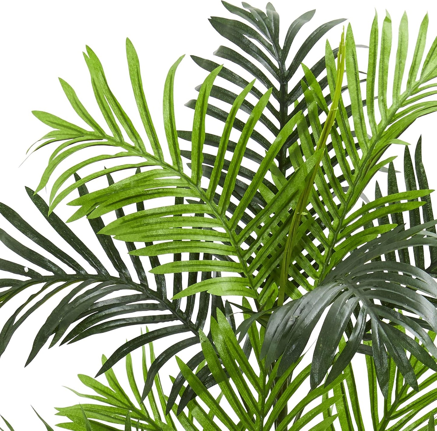 3' Paradise Palm Tree Artificial Plant, Green