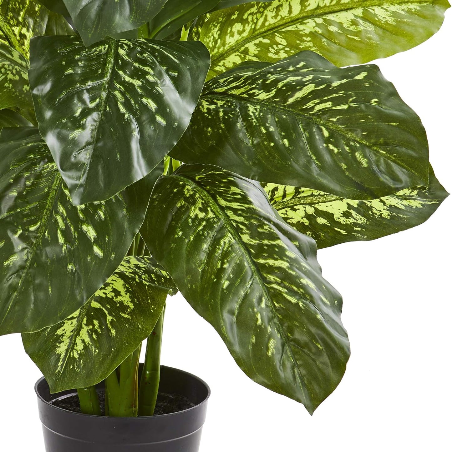 34in. Dieffenbachia Artificial Plant (Real Touch)