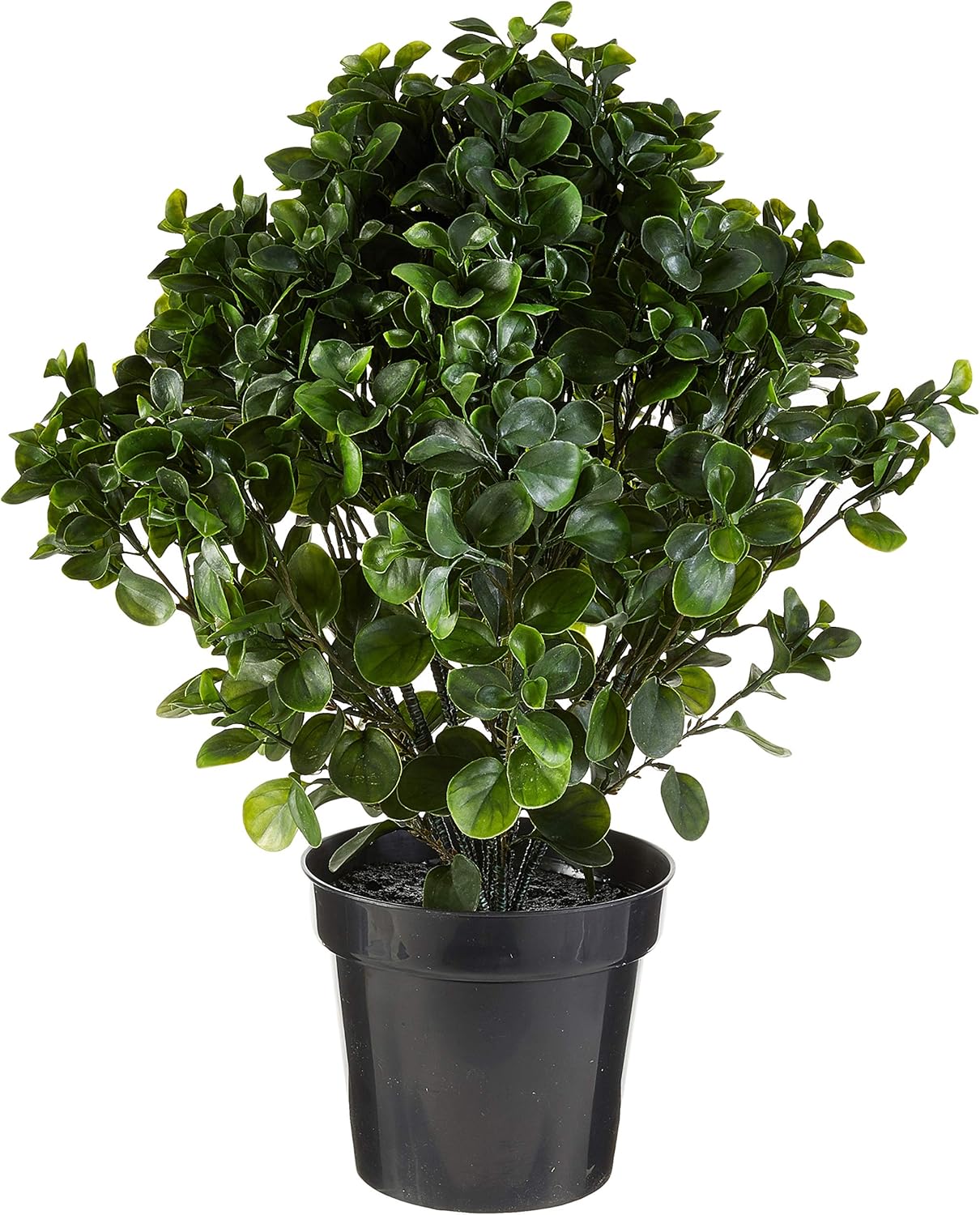 28in. Peperomia Plant UV Resistant (Indoor/Outdoor) No50
