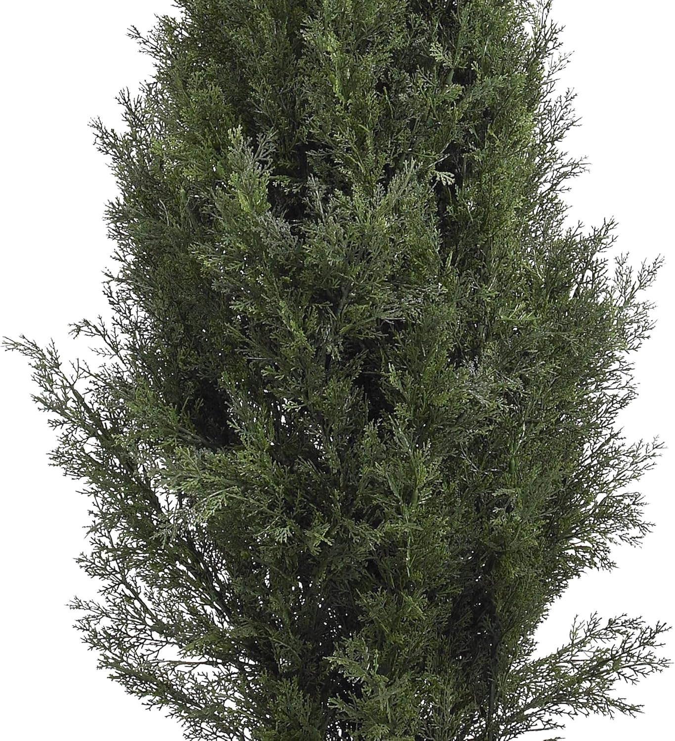 5291 5ft. Mini Cedar Pine Tree (Indoor/Outdoor),Green,5'